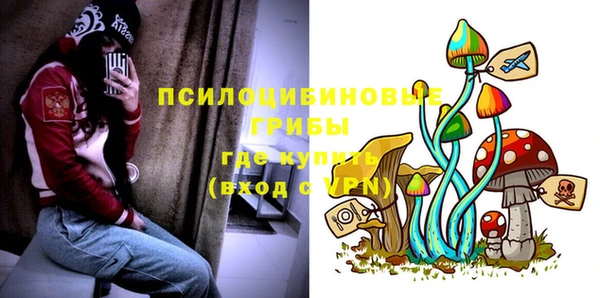 мет Белокуриха